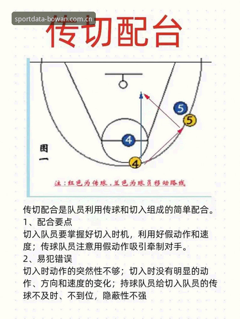揭秘博万体育使用教程：体育数据平台的深度解析与实战指南